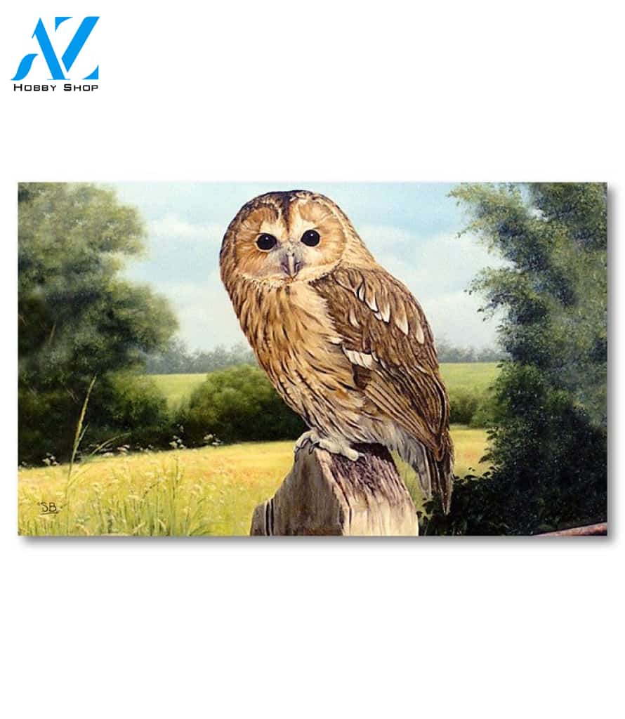 Meadow Owl Doormat - 18" x 30"