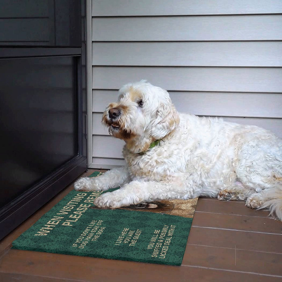 Corgi Puppy's Rules Doormat