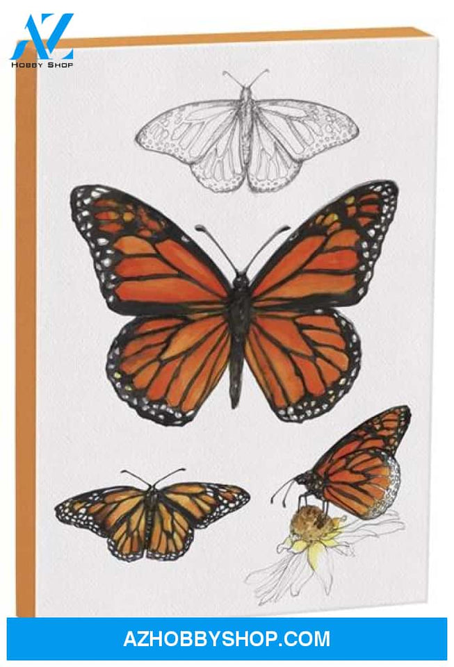 Monarch Butterfly 5X7 Canvas Wall Art