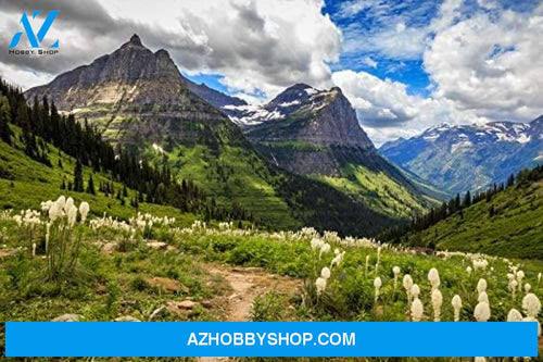 Montana - Mountains And Wildflowers Of Glacier National Park On The Going-To-The-Sun Road 
