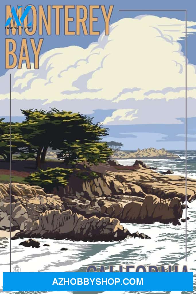 Monterey Bay California Cypress Tree 
