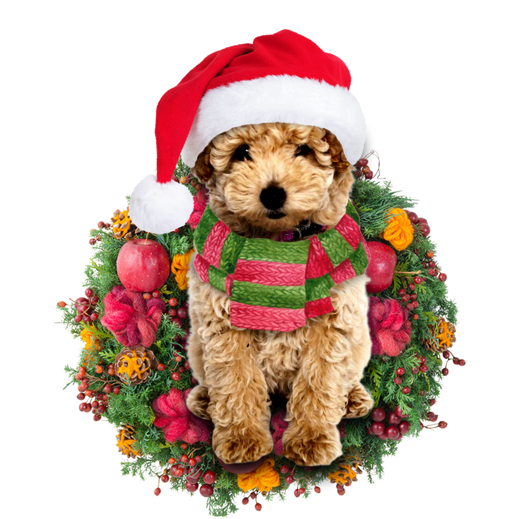 Godmerch- Ornament- Poodle Christmas Ornament, Happy Christmas Ornament, Car Ornament