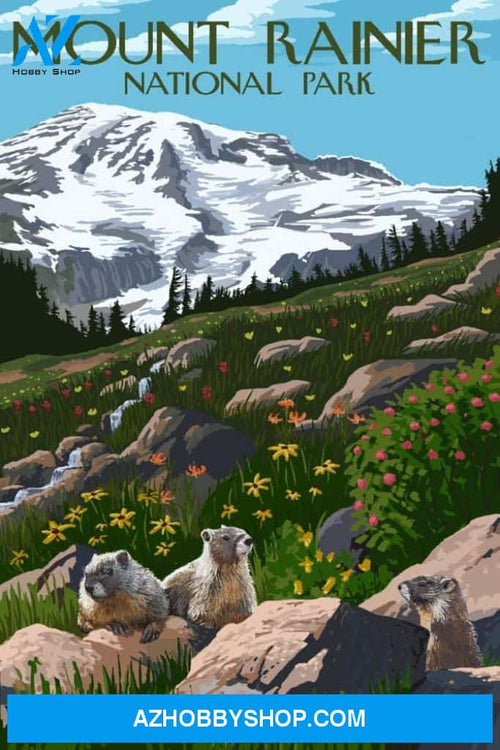 Mount Rainier National Park Washington Meadow And Marmots 
