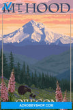 Mt. Hood Oregon Bear Family And Spring Flowers