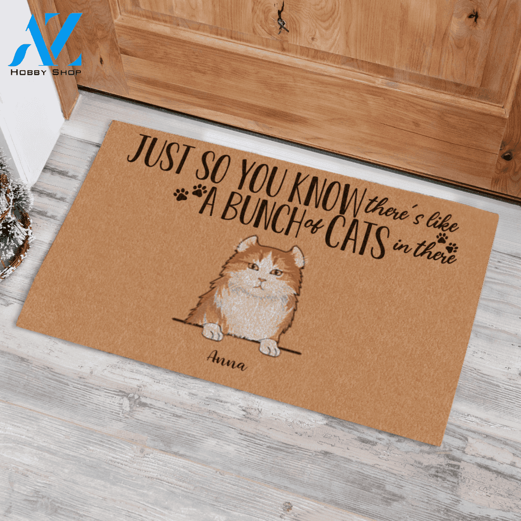 Naive Cat , Just So You Know There's Like A Bunch Of Cats Personalized Doormat HQ