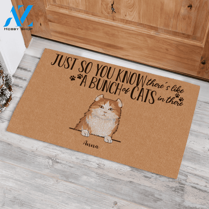 Naive Cat , Just So You Know There's Like A Bunch Of Cats Personalized Doormat HQ