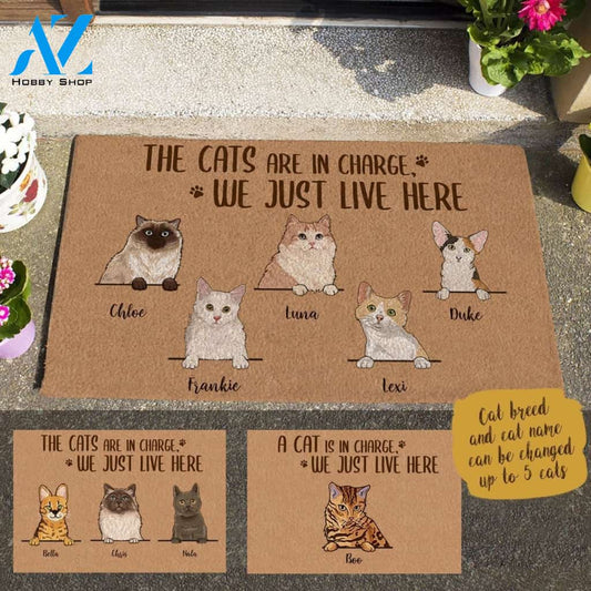 Naive Cat The Cats Are In Charge We Just Live Here Custom Name Pet Printed Doormat Home Decor