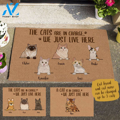 Naive Cat, The Cats Are In Charge We Just Live Here Personalized Doormat HQ