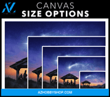 Nativity of Jesus Canvas Wrap