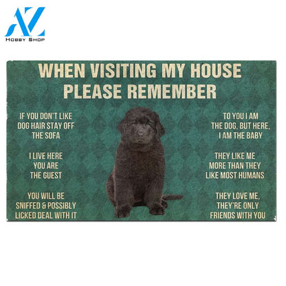 Newfoundland Puppy's Rules Doormat