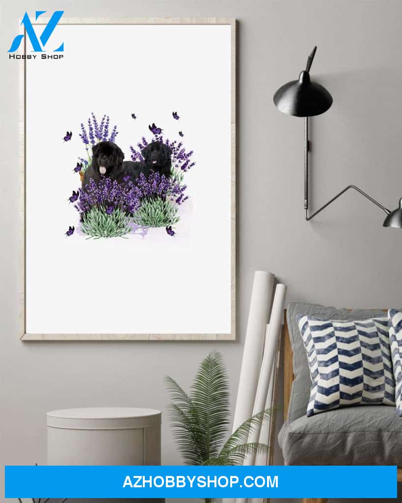 Newfoundland with lavender flower poster
