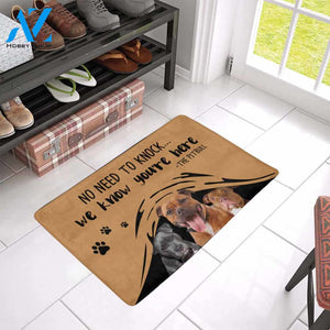 NO NEED TO KNOCK PITBULL Doormat 23.6" x 15.7" | Welcome Mat | House Warming Gift