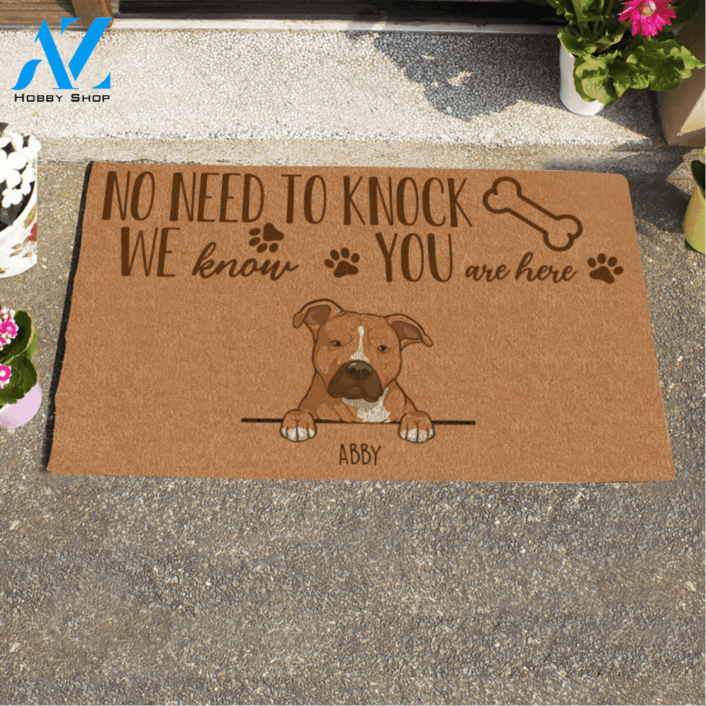 Cute Dog No Need To Knock We Know You Are Here Custom Name Printed Doormat Home Decor