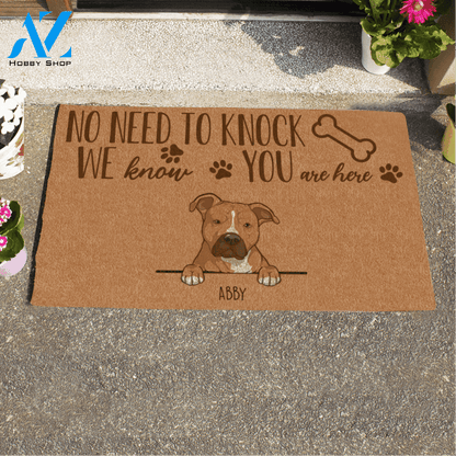 Cute Dog No Need To Knock We Know You Are Here Custom Name Printed Doormat Home Decor