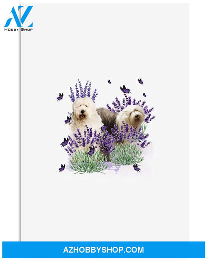 Old English Sheepdog With Lavender flower poster