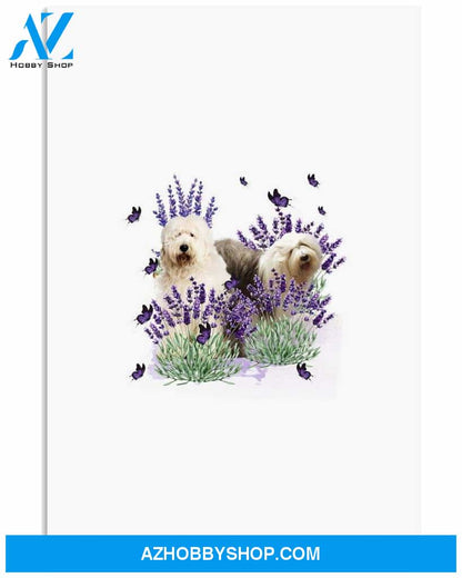 Old English Sheepdog With Lavender flower poster
