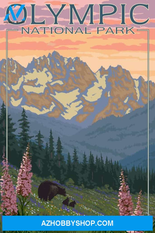 Olympic National Park Washington Bear And Cubs With Flowers