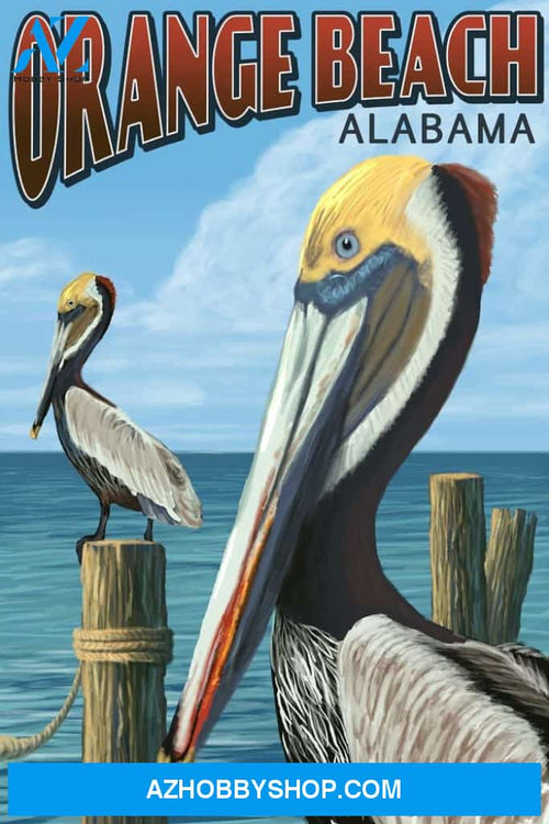 Orange Beach Alabama Brown Pelican