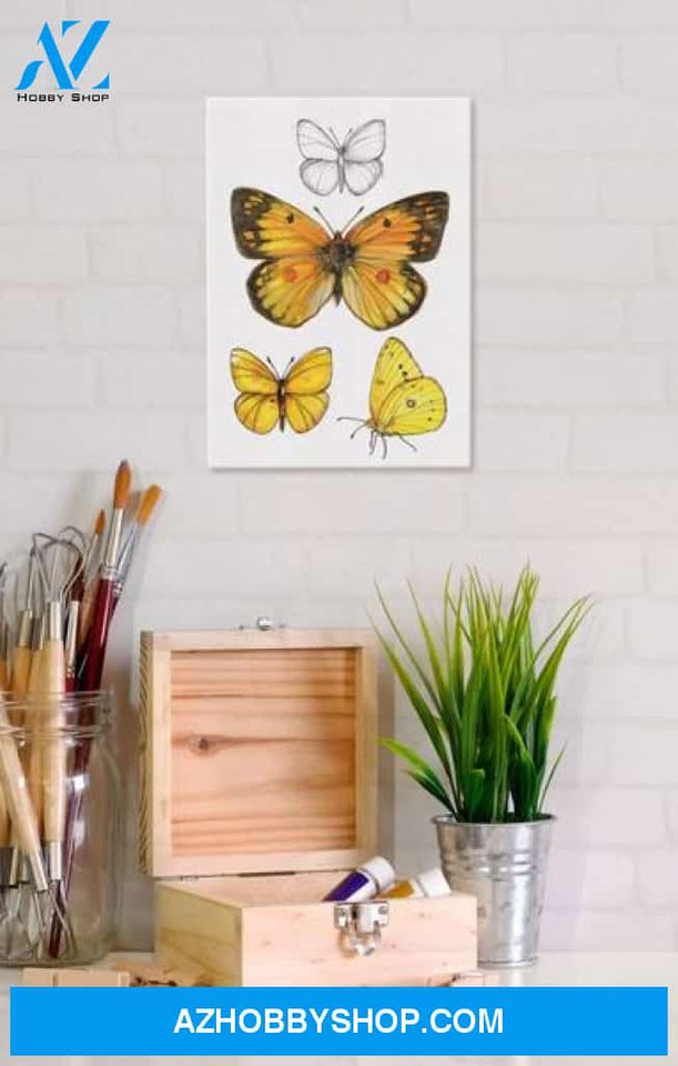 Orange Sulphur Butterfly 5X7 Canvas Wall Art