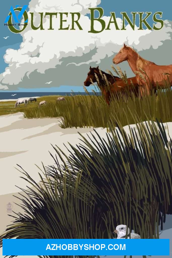 Outer Banks North Carolina Horses And Dunes