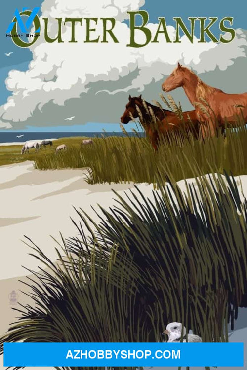 Outer Banks North Carolina Horses And Dunes