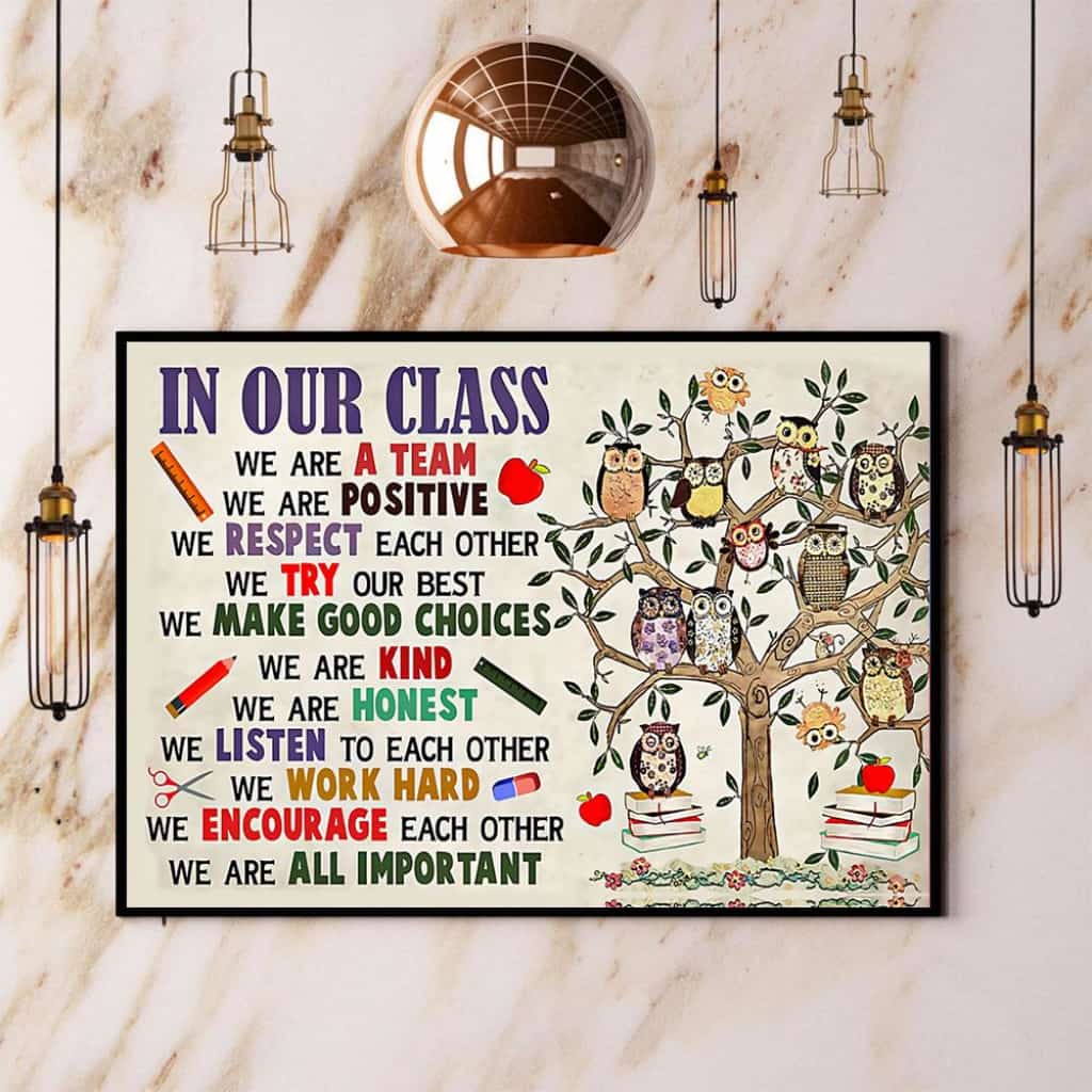 Owl In Our Class We Are All Important Paper Poster No Frame Matte Canvas Wall Decor