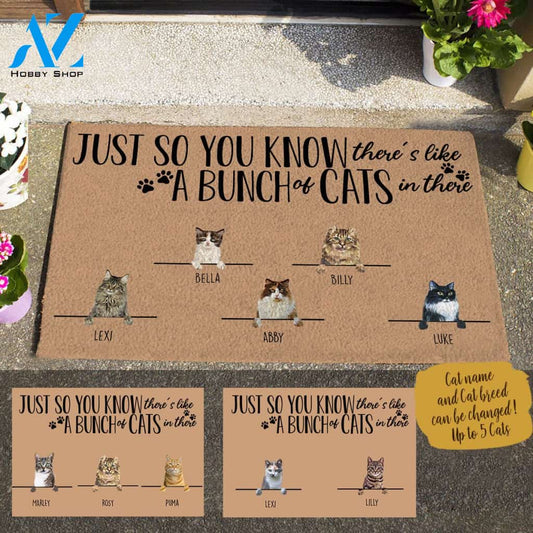 Painting Cat , Just So You Know There's Like A Bunch Of Cats In There Personalized Doormat HQ
