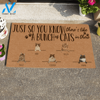 Painting Cat , Just So You Know There's Like A Bunch Of Cats In There Personalized Doormat HQ