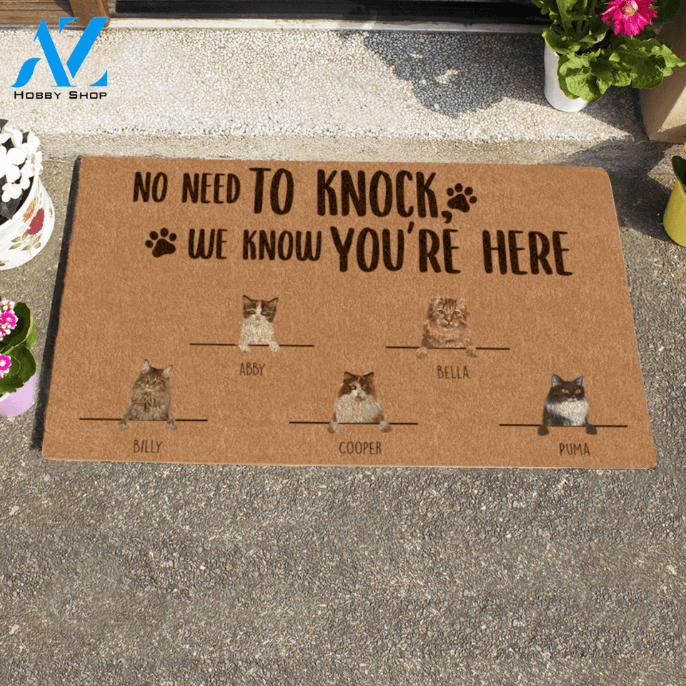 Painting Cat , No Need To Knock We Know You Are Here , Personalized Doormat HQ