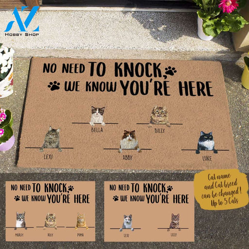 Painting Cat , No Need To Knock We Know You Are Here , Personalized Doormat HQ