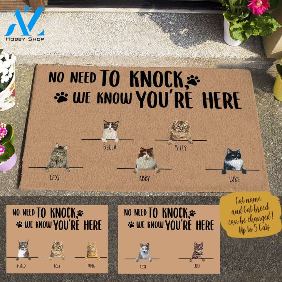 Painting Cat , No Need To Knock We Know You Are Here , Personalized Doormat HQ