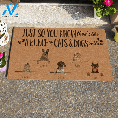 Painting Dog And Cat , Just So You Know There's Like A Bunch Of Cats And Dogs Personalized Doormat HQ
