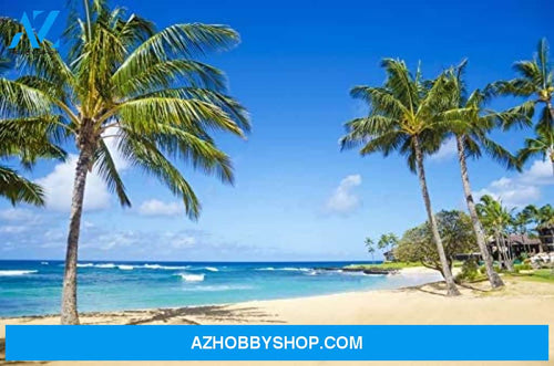 Palm Trees On The Sandy Beach In Hawaii Photography