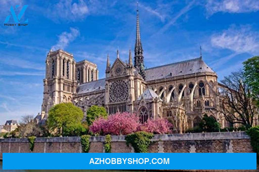 Paris France - Notre-Dame With Pink Spring Flowers