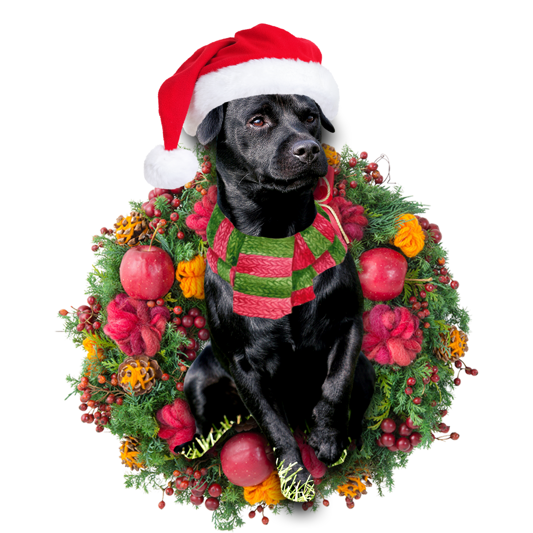 Godmerch- Ornament- Patterdale Terrier Christmas Ornament, Happy Christmas Ornament, Car Ornament