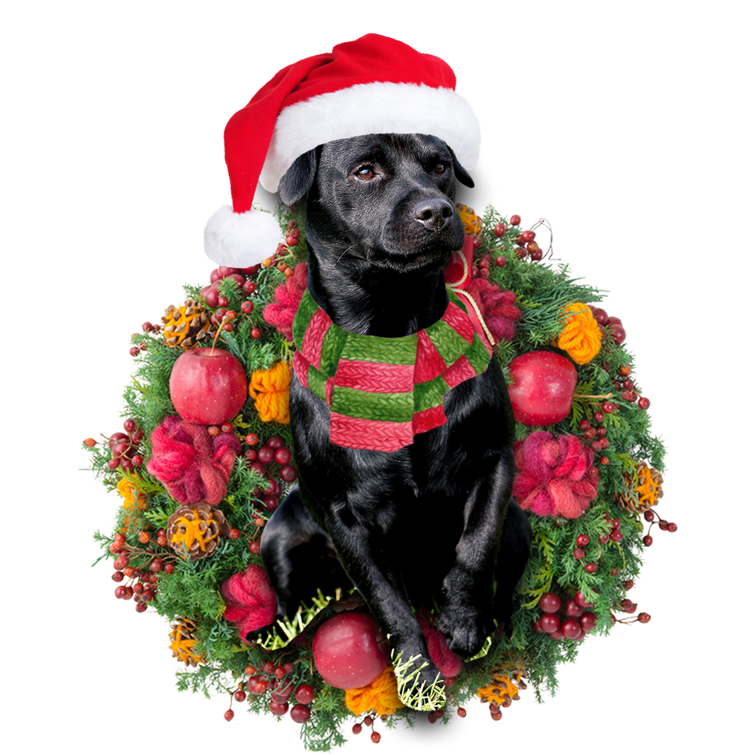 Godmerch- Ornament- Patterdale Terrier Christmas Ornament, Happy Christmas Ornament, Car Ornament
