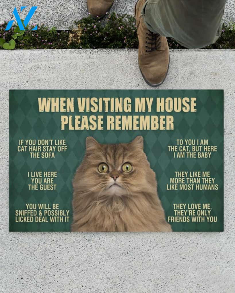 Persian Cat Doormat,When Visiting My House Doormat