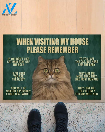 Persian Cat Doormat,When Visiting My House Doormat