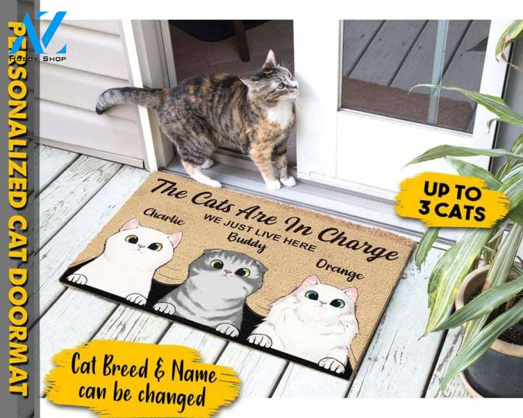 Personalised The Cat's in Charge, Cool Cat Doormat, Welcome Mat, Funny Doormat, Housewarming gift, Cat lover gift