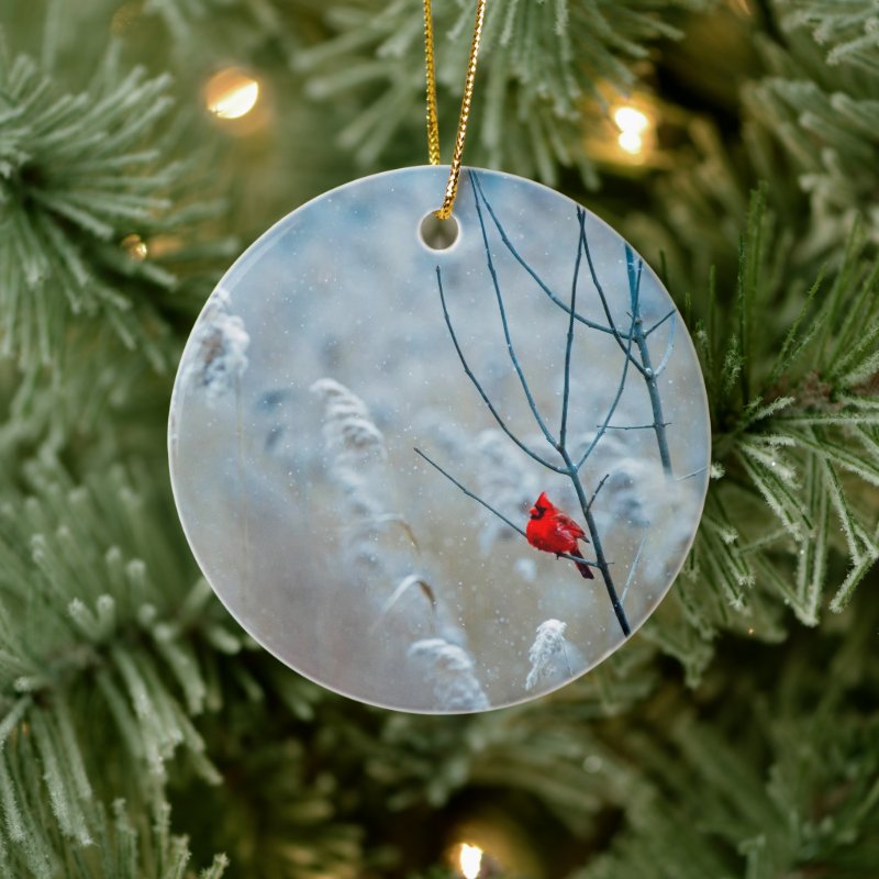 Personalize This Christmas Cardinal Ceramic Ornament