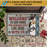 Personalized Cat Doormat, Cute Welcome To Our Home Cat Doormat, Custom Cat Doormat, Gift For Cat Lovers, Welcome Home Mat, Funny Doormat