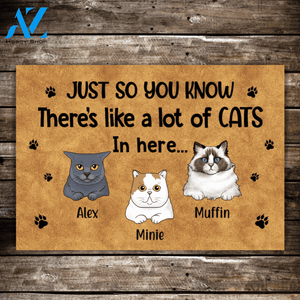 Personalized Doormat, A Lot Of Cats Custom Gifts For Cats Lovers