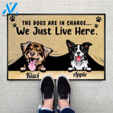 Personalized The Dogs Are In Charge Dog Doormat With Anti-slip Rubber, Dog Breeds & Text Can Change, Funny Welcome Doormat, Non-Woven Fabric Doormat
