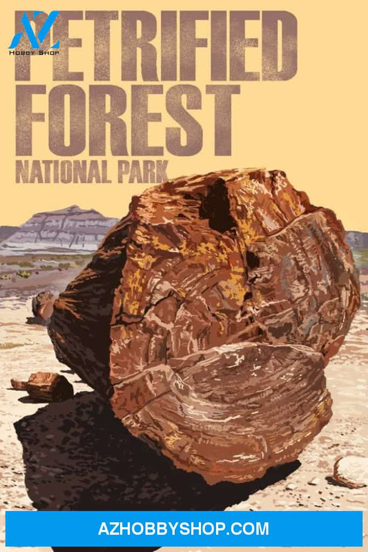 Petrified Forest National Park Arizona Petrified Wood Close Up