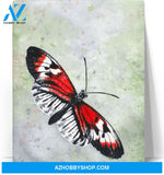 Piano Key Butterfly (Heliconius Melpomene) Canvas