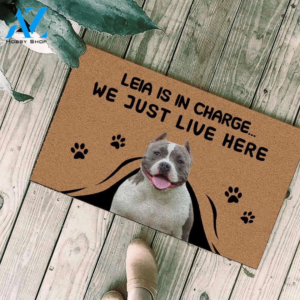 Pitbull Dog custom dog's name and photo Doormat Pet is in Charge We Just Live Here Funny Door Mat Personalized gift FSD1560