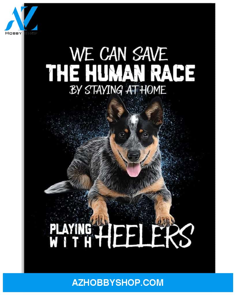 Playing with Heelers poster