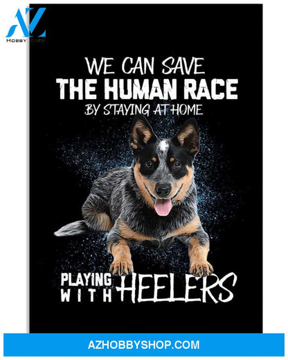 Playing with Heelers poster