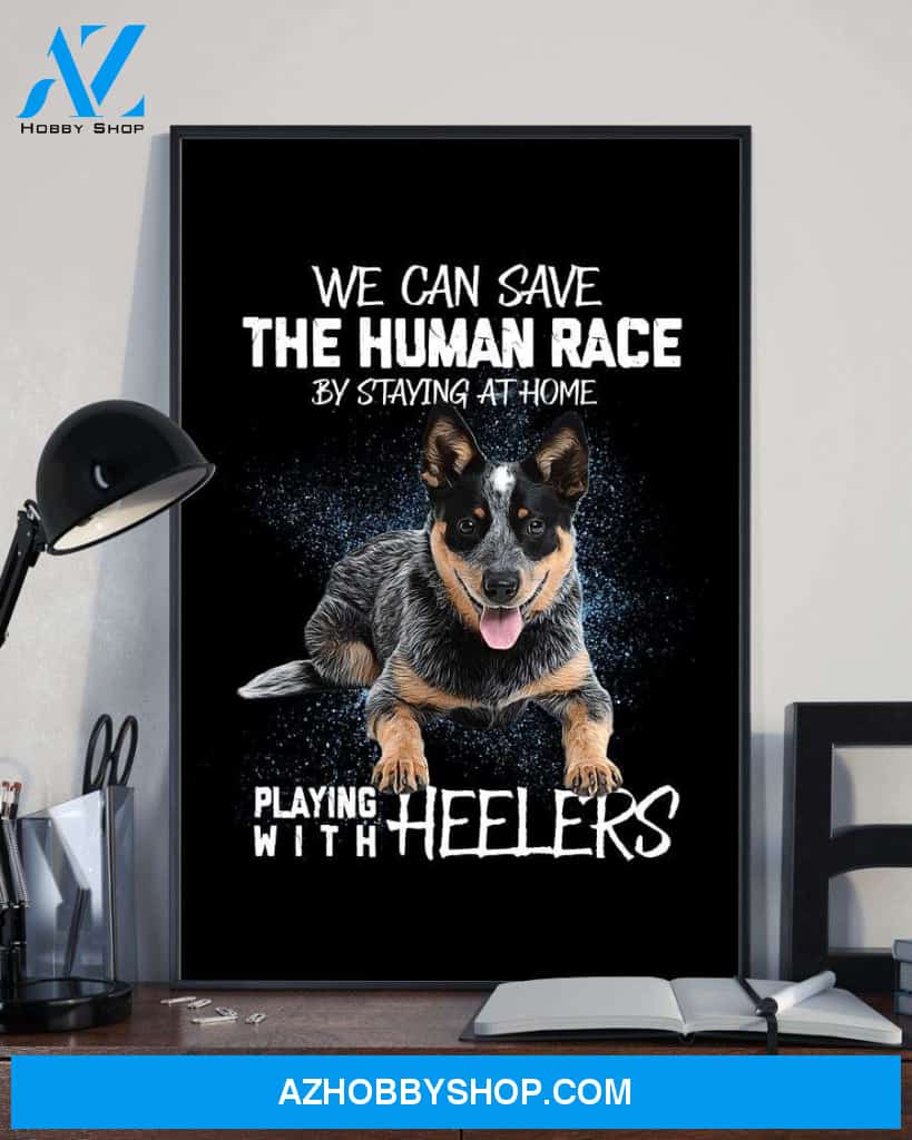 Playing with Heelers poster