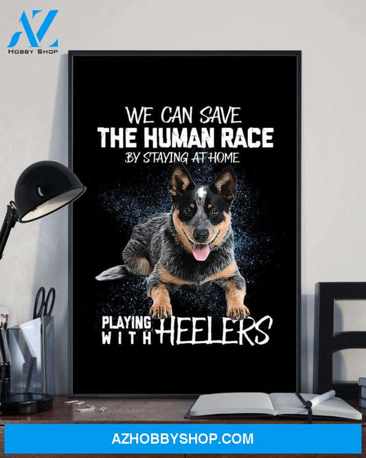 Playing with Heelers poster